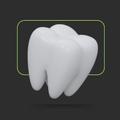 DENTAL SCHOOL
