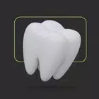 DENTAL SCHOOL