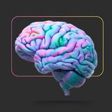 BIOLOGY E THEORIES アイコン