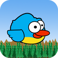 Toy Bird