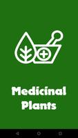 Poster Medicinal Plants