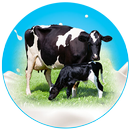 Milk Delivery Management System - Delivery App APK