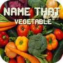Name That Vegetable APK