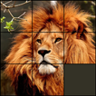 15 puzzle 图标