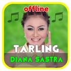 Lagu Tarling Diana Sastra Terbaru Offline icône