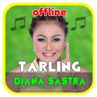 Lagu Diana Sastra Mp3 Offline ไอคอน