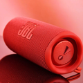 JBL Flip 6 Guide
