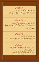 Urdu Lateefay imagem de tela 1