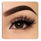 Eyelashes Photo Editor আইকন