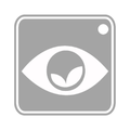 Eyeson