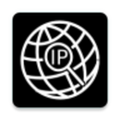 Public IP