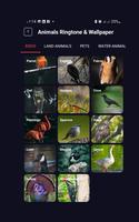 Animals Ringtone And Wallpaper скриншот 1
