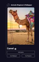 Animals Ringtone And Wallpaper скриншот 2