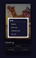 Animals Ringtone And Wallpaper скриншот 3