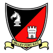 Valley Fort آئیکن
