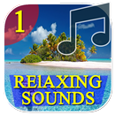 Relaxing Music | Calm Nature S APK