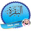 سورة البقرة بندر بليلةصوت مؤثر APK
