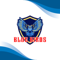 Blue Birds Travels