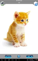Bright Baby English FlashCards XAPK 下載