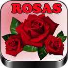 Rosas y Flores de Colores ícone