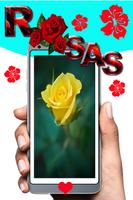 Rosas y Flores de Colores poster