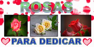 Rosas y Flores de Colores capture d'écran 2