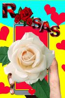 Rosas y Flores de Colores скриншот 3