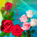 Rosas con frases para dedicar APK