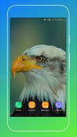 HD Eagle Wallpaper স্ক্রিনশট 2