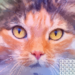 Pixel Art - Paint by Number 圖標 Pixel Art - Paint by Number 圖標
