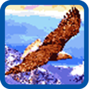 Eagle Pixel Number APK