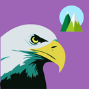 Eagle Wallpaper APK
