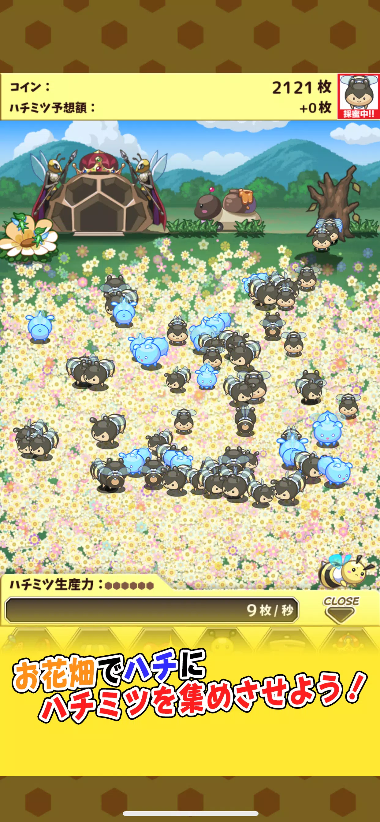 ハチミツコレクション