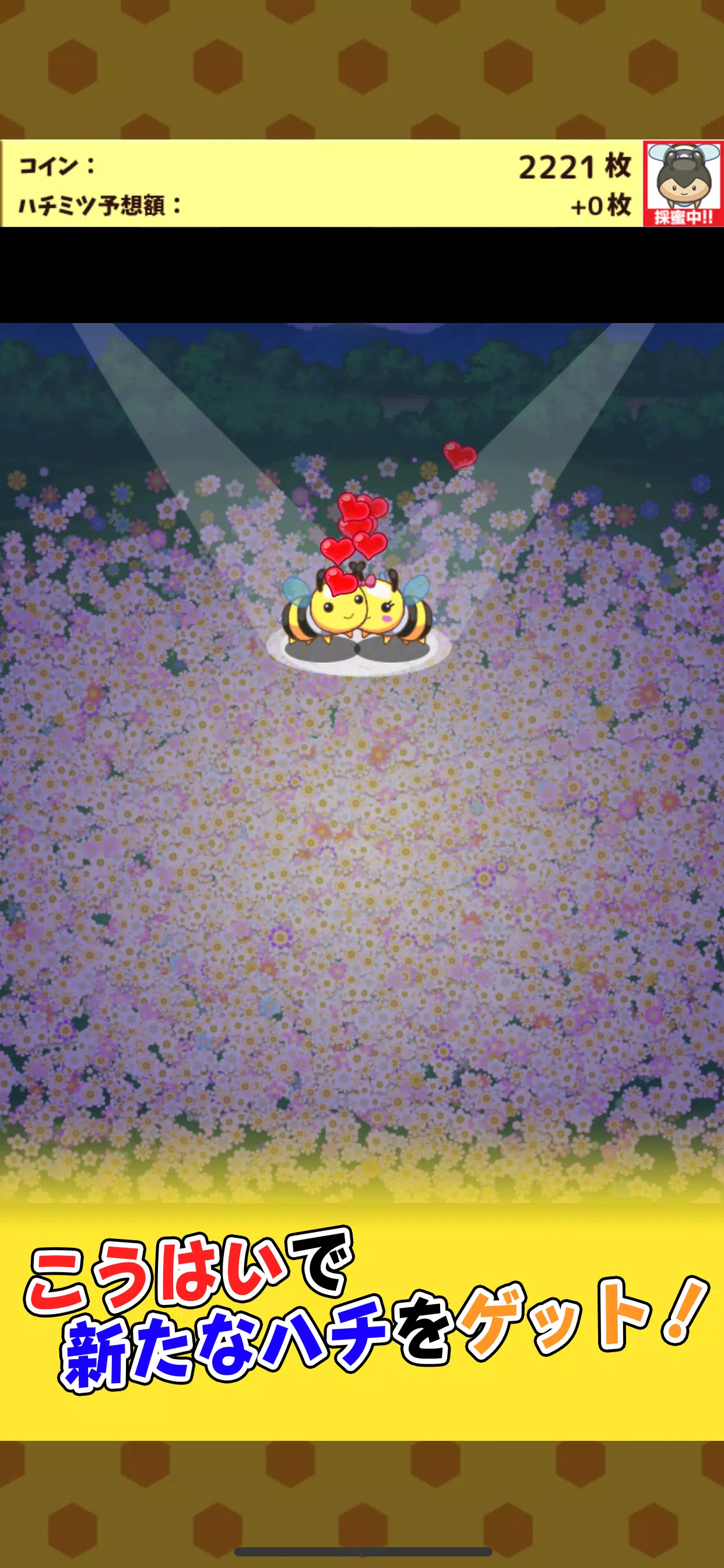 ハチミツコレクション