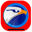 eagleget downloader