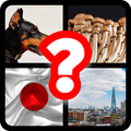 Guess The Word