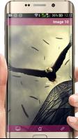 برنامه‌نما Eagle Wallpaper HD عکس از صفحه