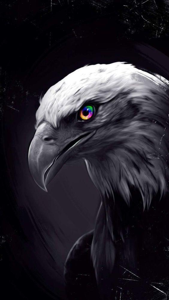 Eagle Wallpaper Hd For Android Apk Download