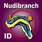 Nudibranch ID EAtlantic MedSea icône