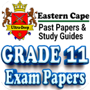 Grade 11 Eastern Cape Papers APK