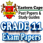 Grade 11 Eastern Cape icône
