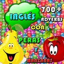 700+ English adverbs APK