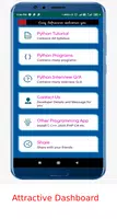 Python Programming Affiche