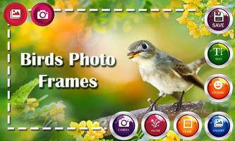 Birds HD Photo Frames and Live Wallpapers poster