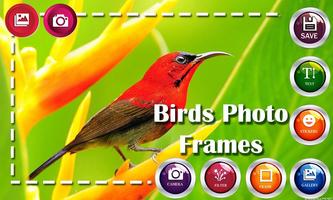 Birds HD Photo Frames and Live Wallpapers स्क्रीनशॉट 1