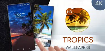 Tropical wallpapers in 4K