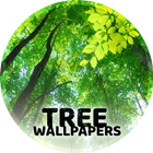 Ağaçlı duvar kağıtları 4K simgesi