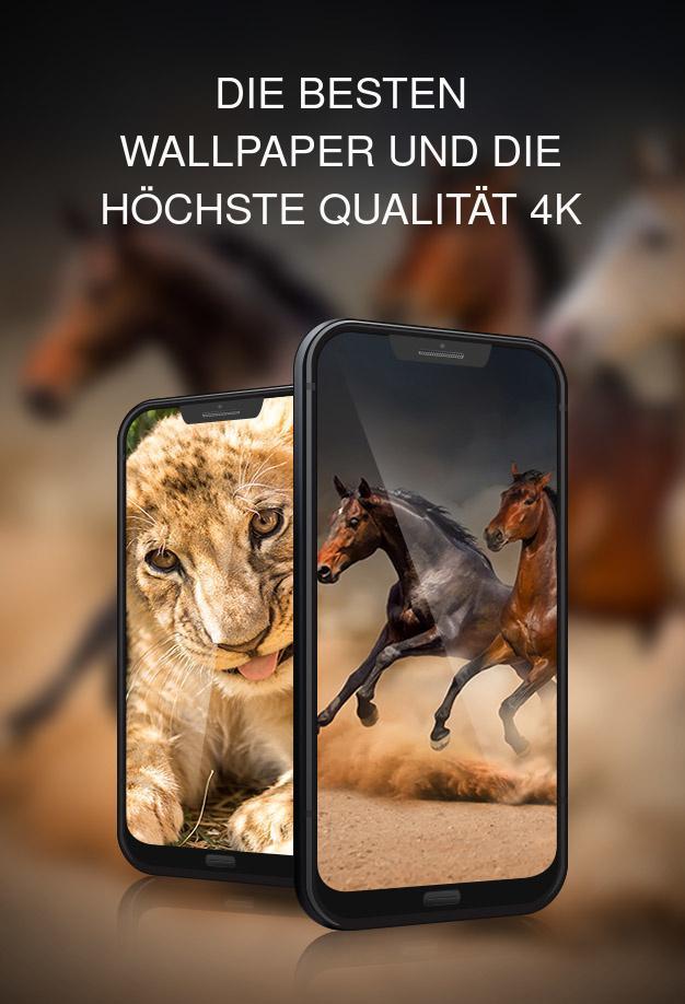 Tiere Hintergrundbilder Fur Android Apk Herunterladen