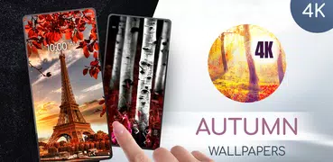Outono - papéis de parede