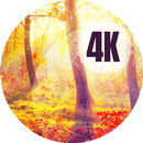 Autumn wallpapers APK